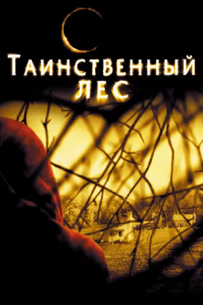 Таинственный лес смотреть онлайн бесплатно
